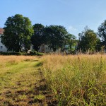 Naturwiese Rudolf-Breitscheid-Straße