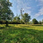 Naturwiese Remscheider Straße