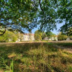 Naturwiese Rudolf-Breitscheid-Straße