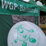 WGP-Bastelstraße an den Elbwiesen beim Pirnaer Stadtfest 2023