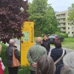Wohnungswirtschaftliche Exkursion in Pirna