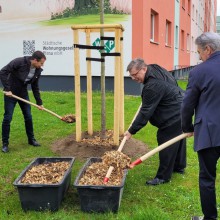 WGP-Geschäftsführer Dirk Perner und Jürgen Scheible sowie Oberbürgermeister Tim Lochner bei der Baumpflanzung