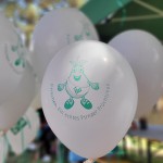 WGP-Bastelstraße zum Pirnaer Stadtfest 2025
