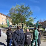 Baumpflanzung zum Tag des Baumes 2026