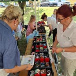 Kinderfest in den Sonnensteiner Höfen 2026