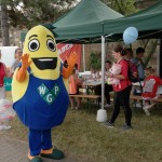 PIRnchen beim Pirnaer Stadtfest