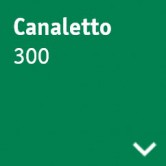 Canaletto 300