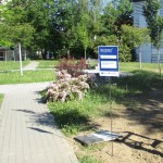neuer Leuchtenstandort auf dem Sonnenstein