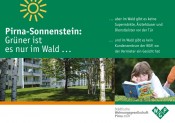 Grüner ist es nur im Wald