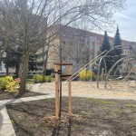 Neugestaltung Innenhof Walter-Richter-Straße 1 bis 19