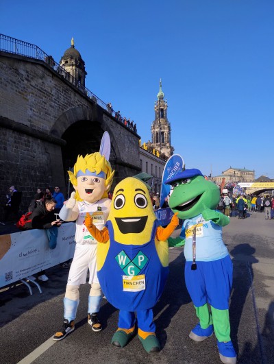 PIRnchen beim Dresdner Citylauf