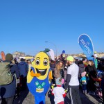 PIRnchen beim Dresdner Citylauf