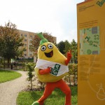 Kinderfest in den Sonnensteiner Höfen