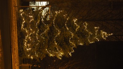 Weihnachtsbaum