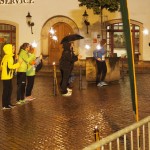 14. WGP-Citylauf Pirna