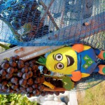 PIRnchen beim Tag des offenen Weinguts