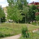 Skulpturen im Birkenhof