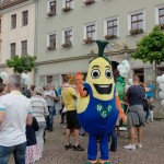 Eröffnung des Pirnaer Stadtfestes