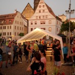 15. WGP-Citylauf Pirna