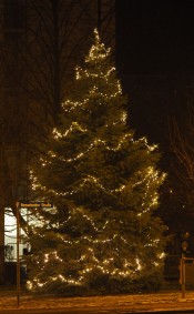 Weihnachtsbaum 2018