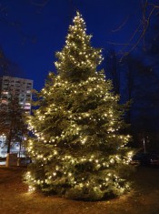 Weihnachtsbaum vor dem WGP-Kundenzentrum Sonnenstein