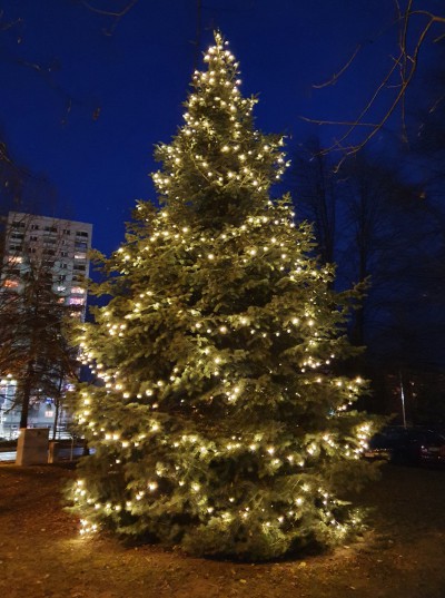 Weihnachtsbaum vor dem WGP-Kundenzentrum Sonnenstein