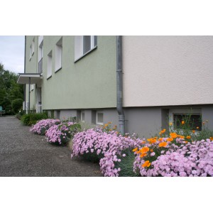 Ansicht