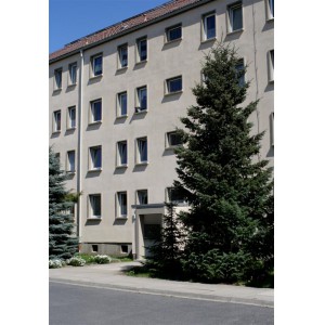 Ansicht