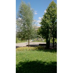 Ansicht Gebäude