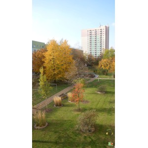 Ansicht