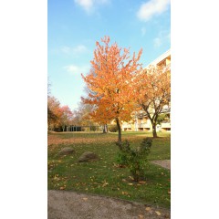 Ansicht Gebäude