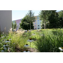 Ansicht Gebäude