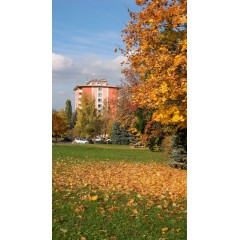 Ansicht Gebäude
