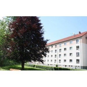 Ansicht